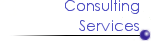 Consulting Services